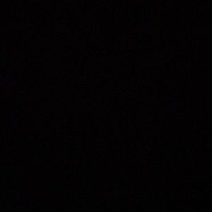 Meet your Posher, Rosa